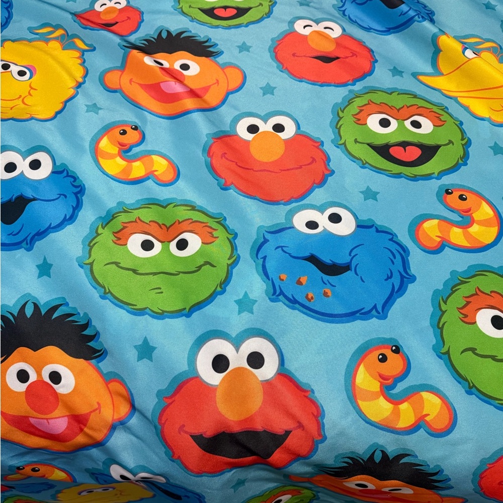 (Custom) Sesame Street shower curtain.